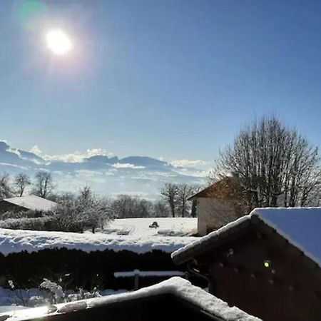 5 Min Des Pistes De Ski Grand Studio Mezzanine Viuz-en-Sallaz Exteriér fotografie